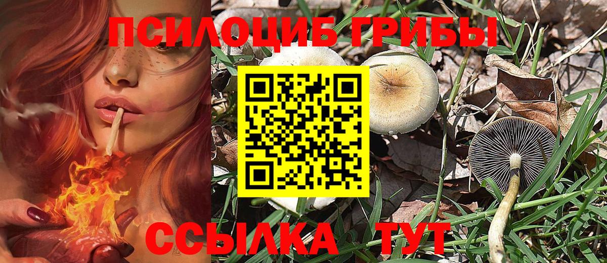 Галлюциногенные грибы прущие грибы  Вход с VPN  Псилоцибиновые грибы Cubensis  Чистополь 